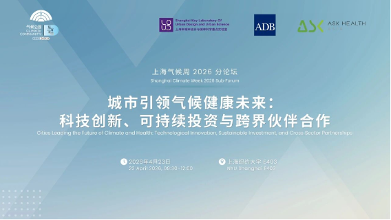 图片311